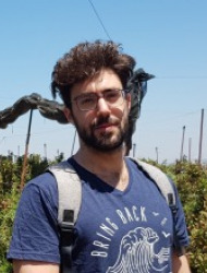 Roi Belson Roi Belson