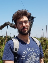 Roi  Belson